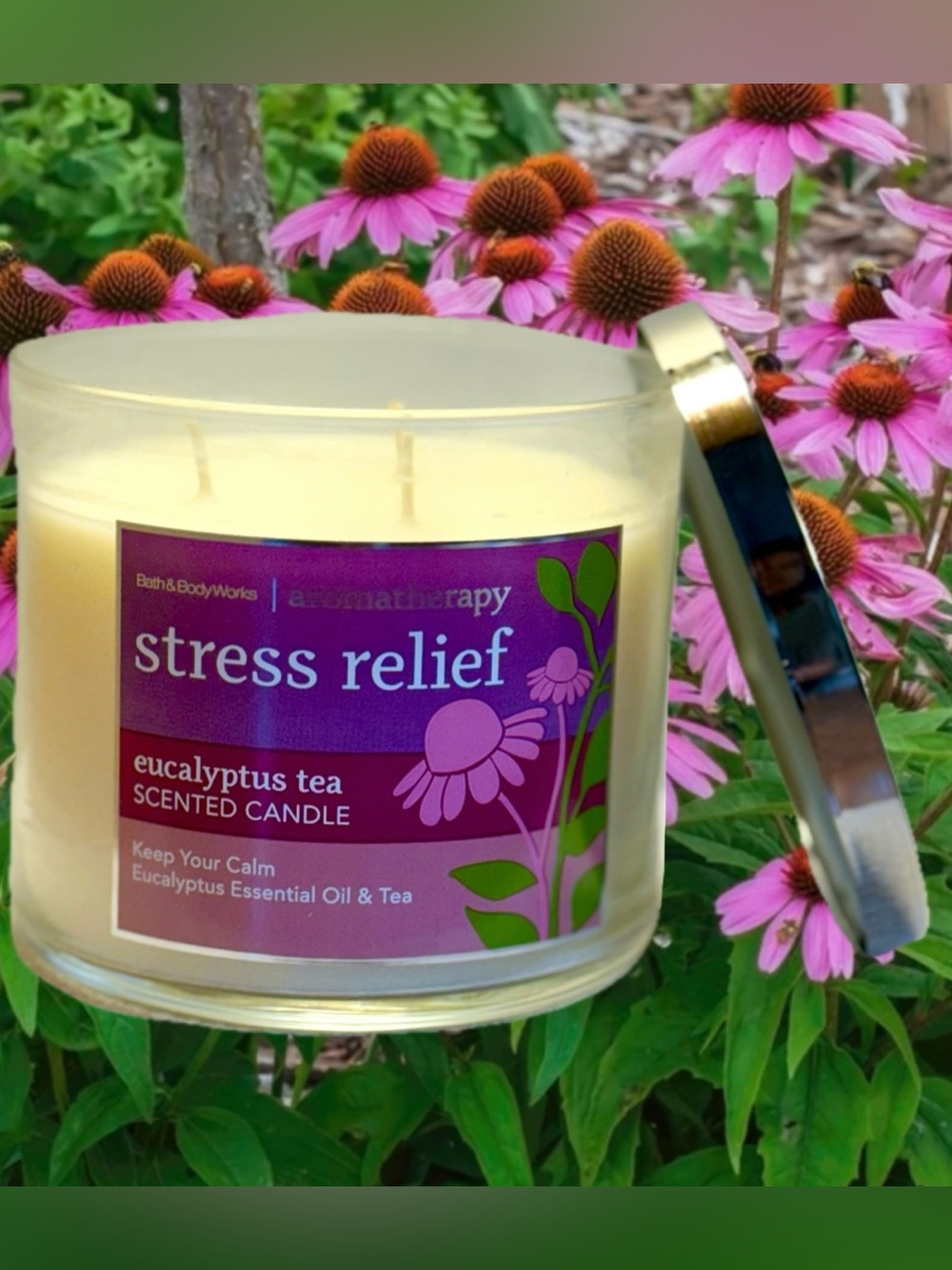 EUCALYPTUS TEA Bath & and Body Works Stress Relief Aromatherapy 3-wick CANDLE